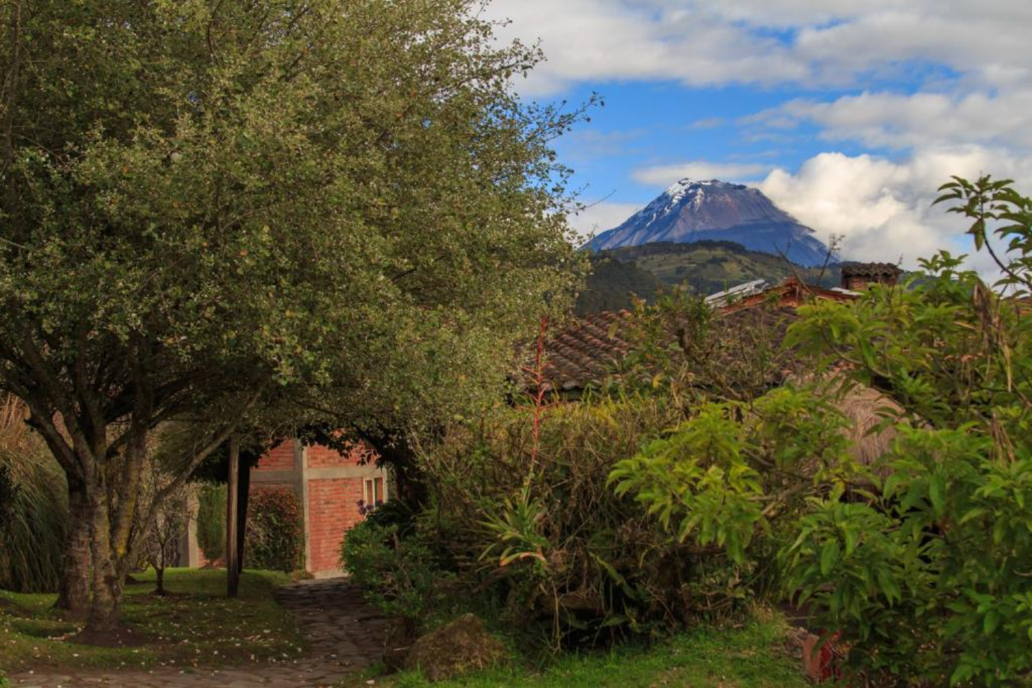 Hacienda Manteles 2
